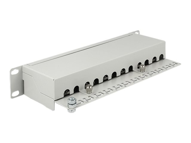 Delock Patchpanel Grå Cat 6a 1u