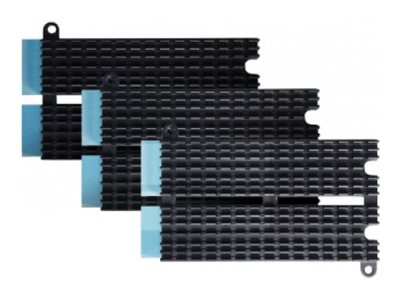 ASUSTOR SSD-kølelegeme 1-pack Sort