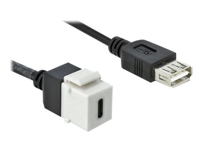 Delock Keystone module Hvid