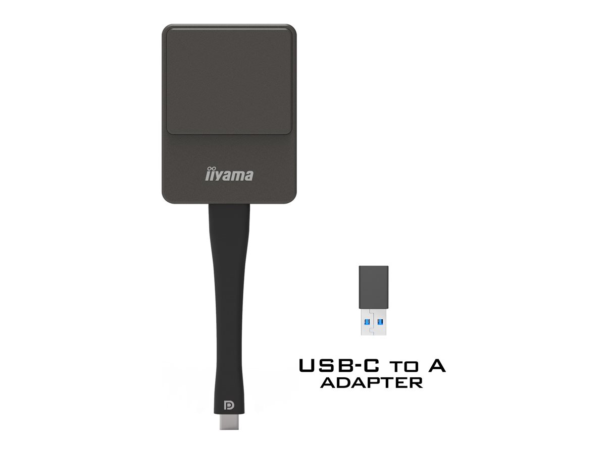 iiyama WP D002C - Streamingadapter til netværksmedie - sølv/sort
