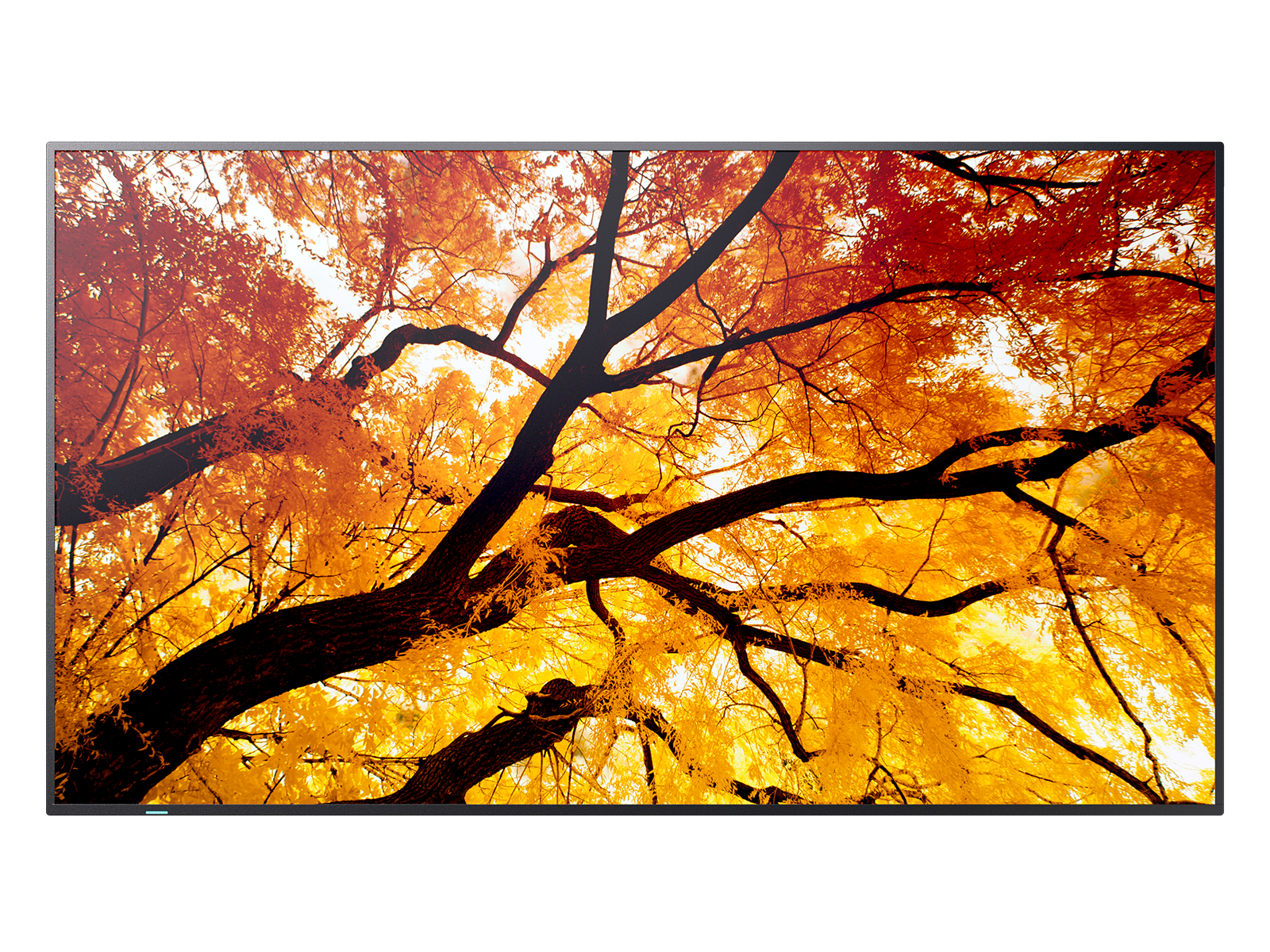 Sharp MultiSync M862 Digital fladpaneldisplay 2,18 m (86") LCD 550 cd/m² 4K Ultra HD Sort 24/7