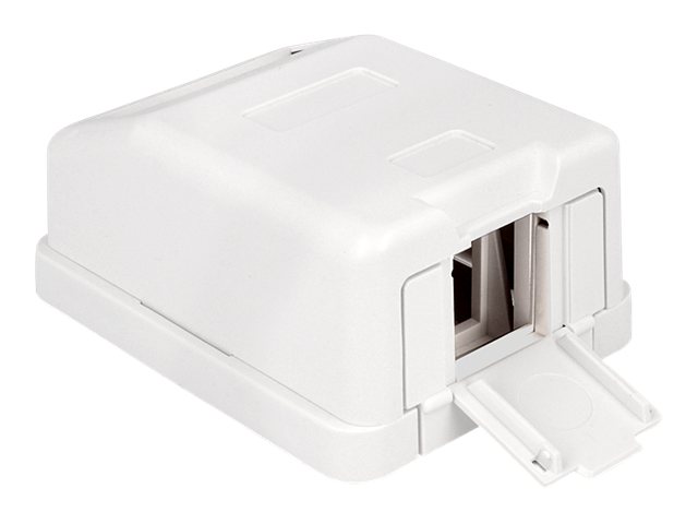 Delock Keystone Surface Mounted Box Hvid