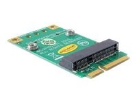 Delock Converter Mini PCI Express half-size > full-size - Udvidelseskort