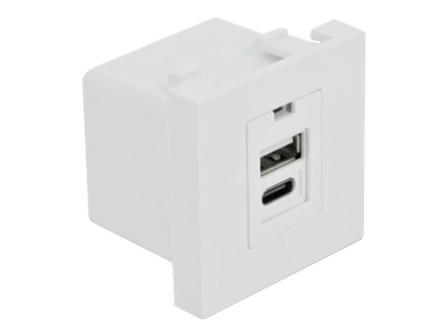 Delock Easy 45 - USB-outlet - 1 gang - hvid, RAL 9003