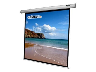 Celexon Economy electric screen 130"
