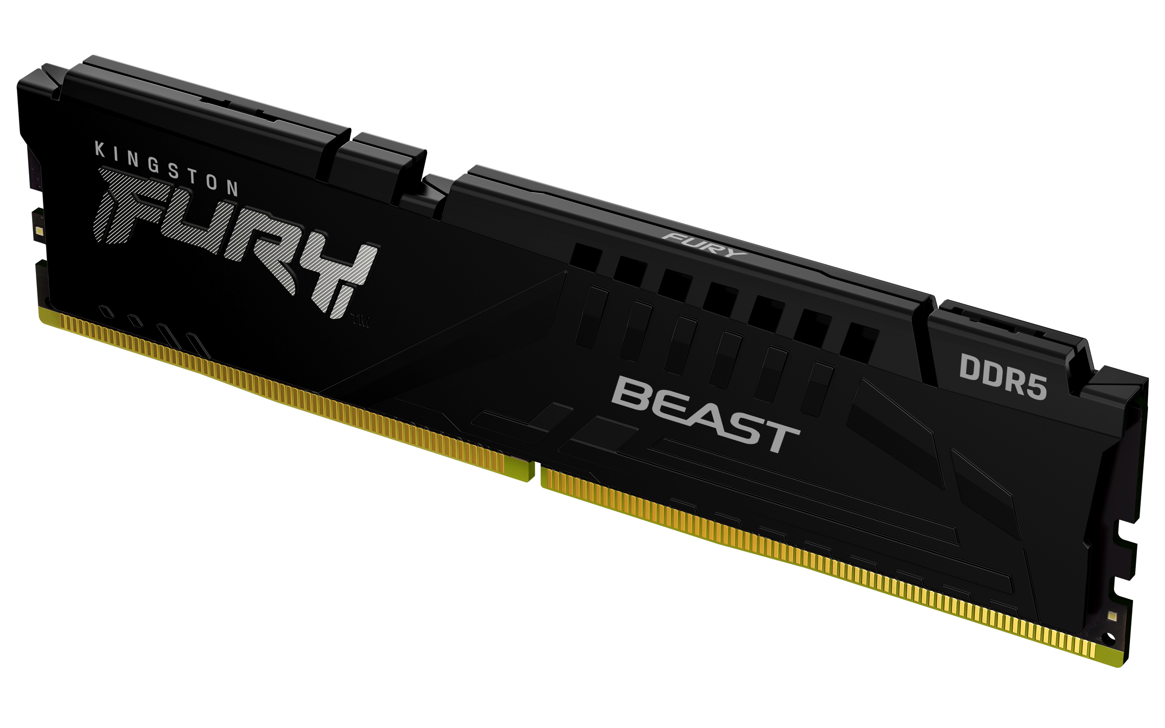 Kingston FURY Beast - DDR5 - modul - 8 GB - DIMM 288-PIN - 5600 MT/s / PC5-44800 - CL36 - 1.25 V - ikke bufferet - on-die ECC - sort