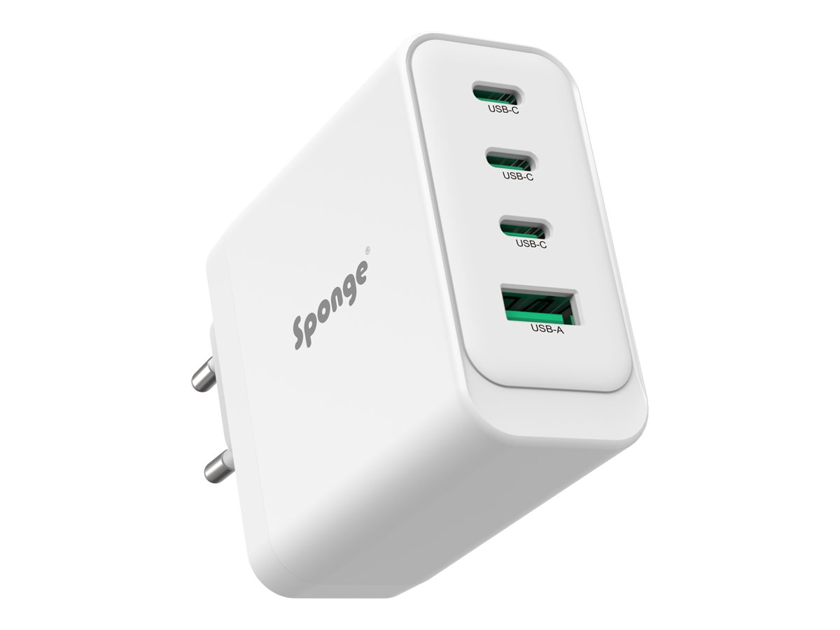 Sponge Adapter 100Watt