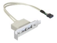 Delock Slot bracket - USB-kabel - USB (hun) til 9 pins USB samlekasse (hun) - USB 2.0 - 50 cm