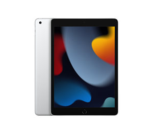 Apple iPad 10.2" (2021) Wi-Fi 256GB - Silver