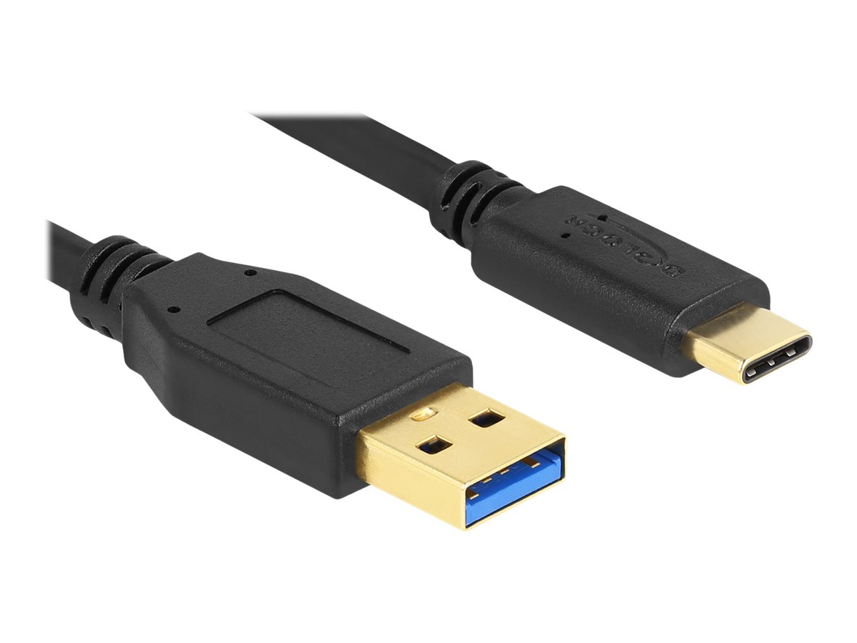Delock - USB-kabel - USB Type A (han) til 24 pin USB-C (han) - USB 3.2 Gen 1 - 2 m - sort