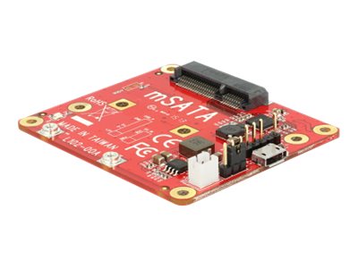 DeLOCK Raspberry mSATA module, Type Micro-B, incl. mounting kit