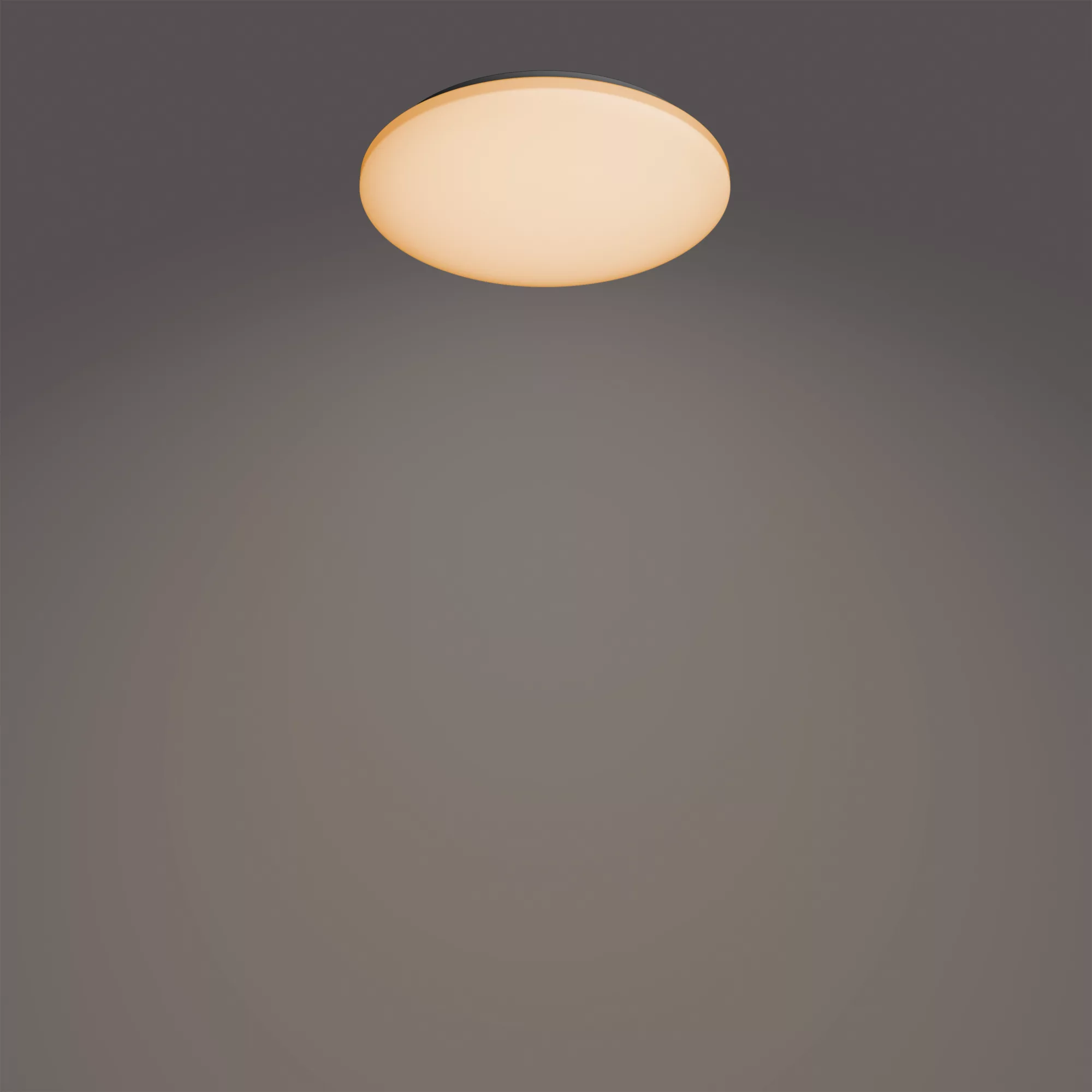 Philips by Signify Functional 8720169196094 Væg/loftslampe 4300lumen