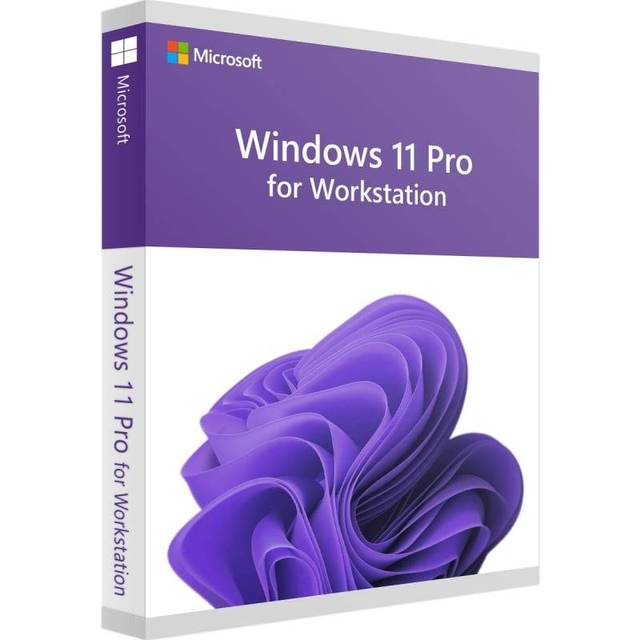 Microsoft Windows 11 Pro for Workstations 1 licens(er)