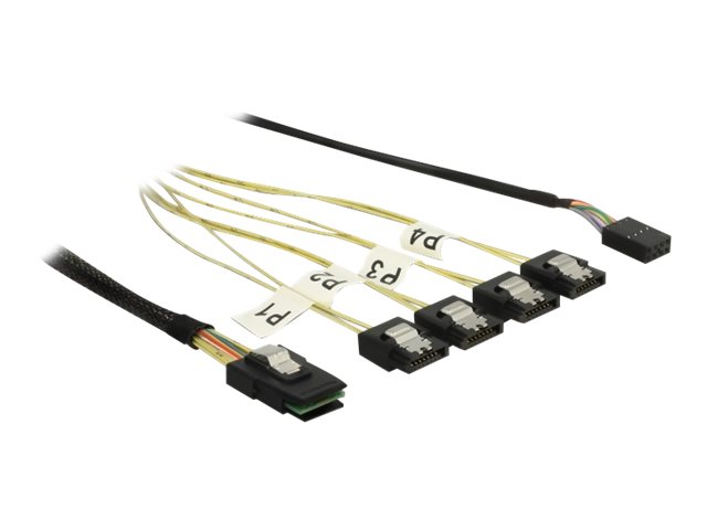 DeLOCK Serial Attached SCSI (SAS) internt kabel Sort Hvid 1m