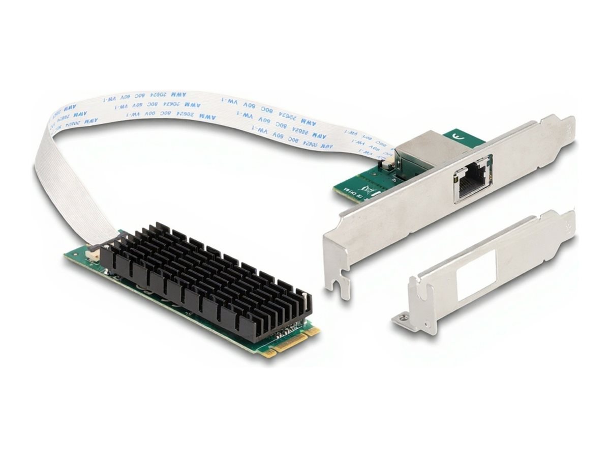 Delock - Netværksadapter - M.2 2280 (B+M Key) lavprofil - 100M/1G/2.5G/5G/10 Gigabit Ethernet