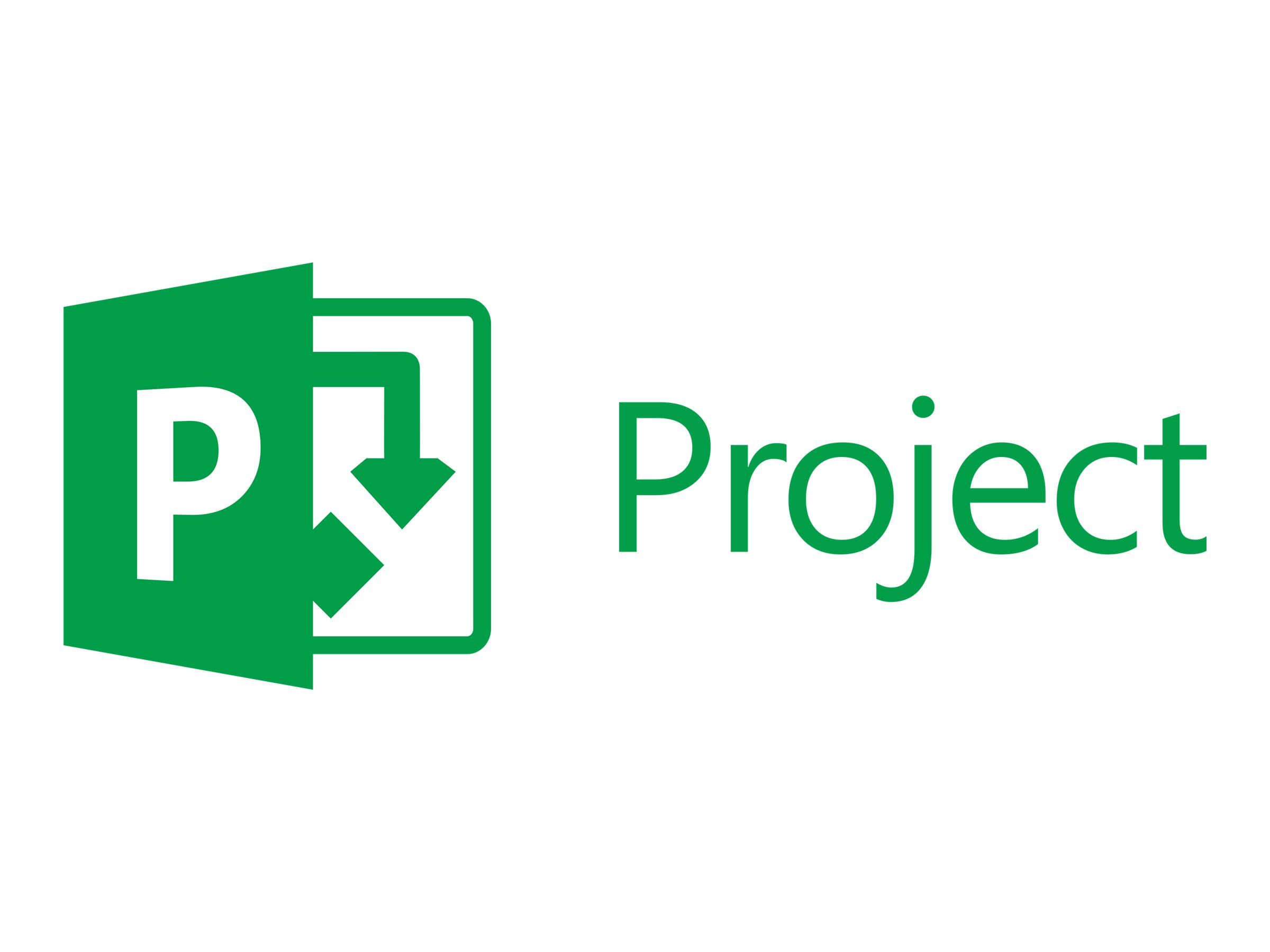 Microsoft Project Online Essentials