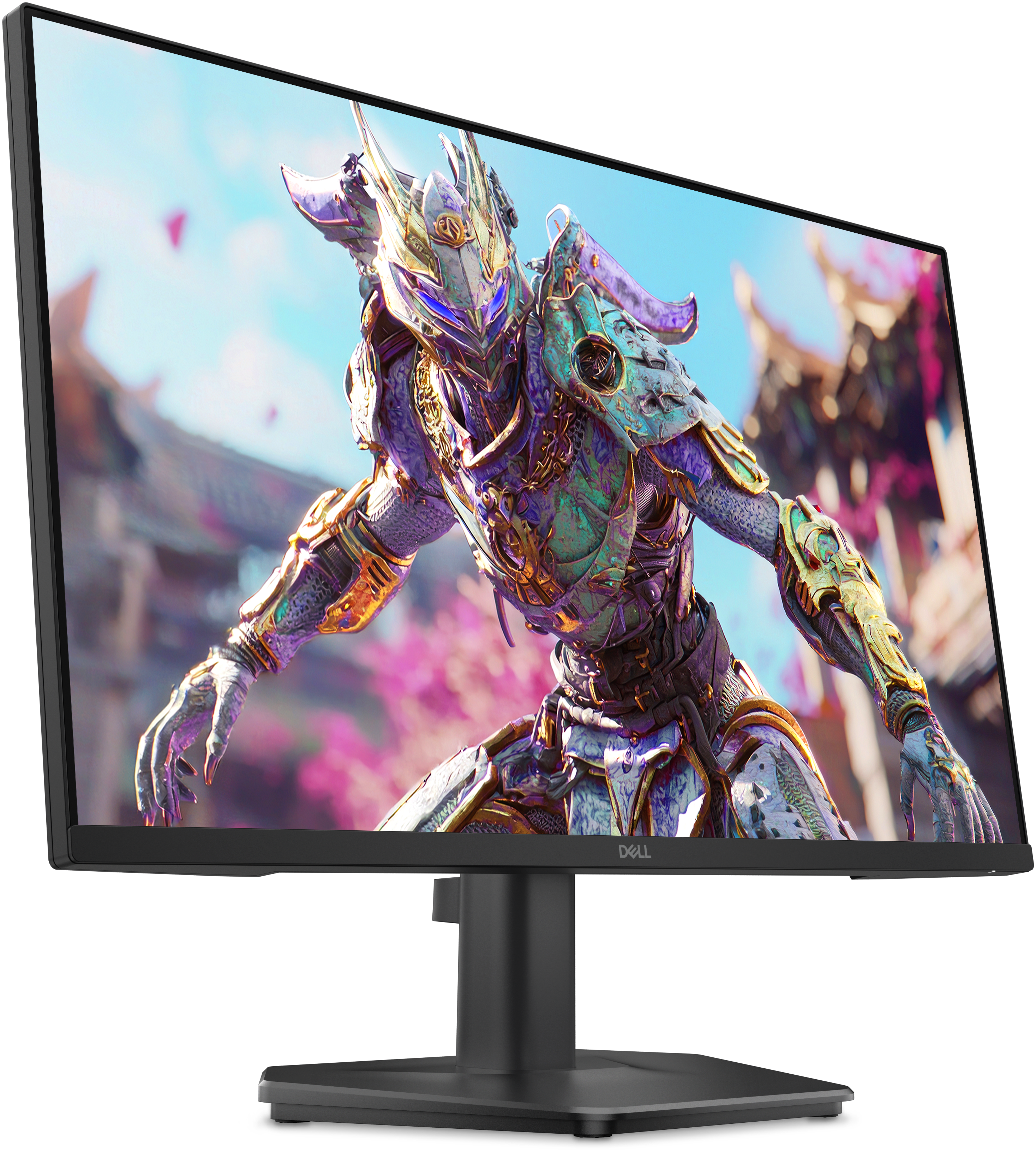 DELL SE2426HG 23.8" IPS 1920 x 1080 (Full HD) HDMI DisplayPort 240 Hz