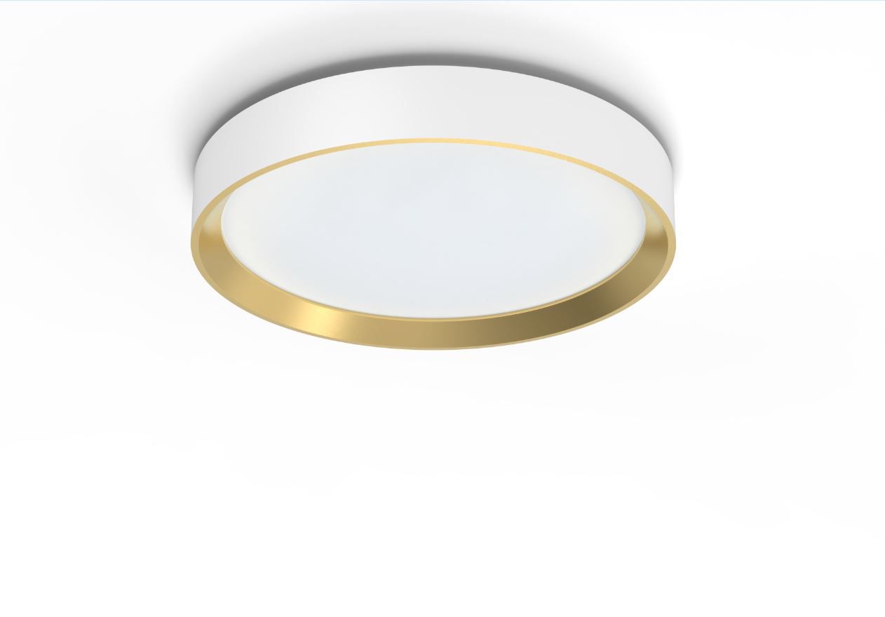 Philips Hanno ceiling SS RD 24W 27K W_G
