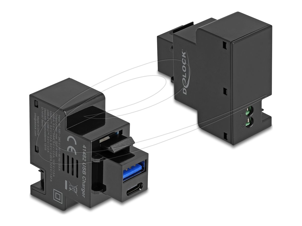 Delock - snap-in modul (keystone) - PD 20 W - 1 USB-sokkel, 1 USB-C-sokkel - sort