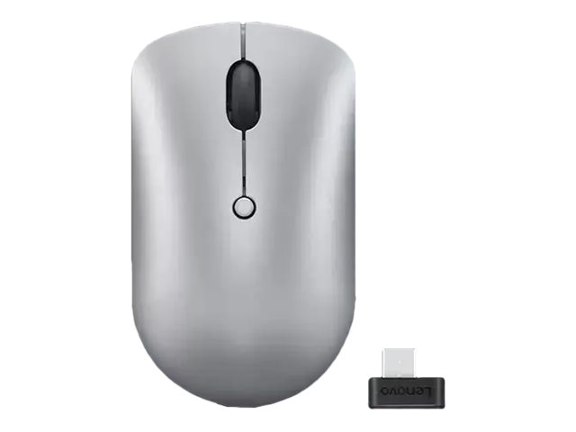 Lenovo - mouse - compact - 2.4 GHz - cloud grey - Mus - Optisk - 4 knapper - Grå