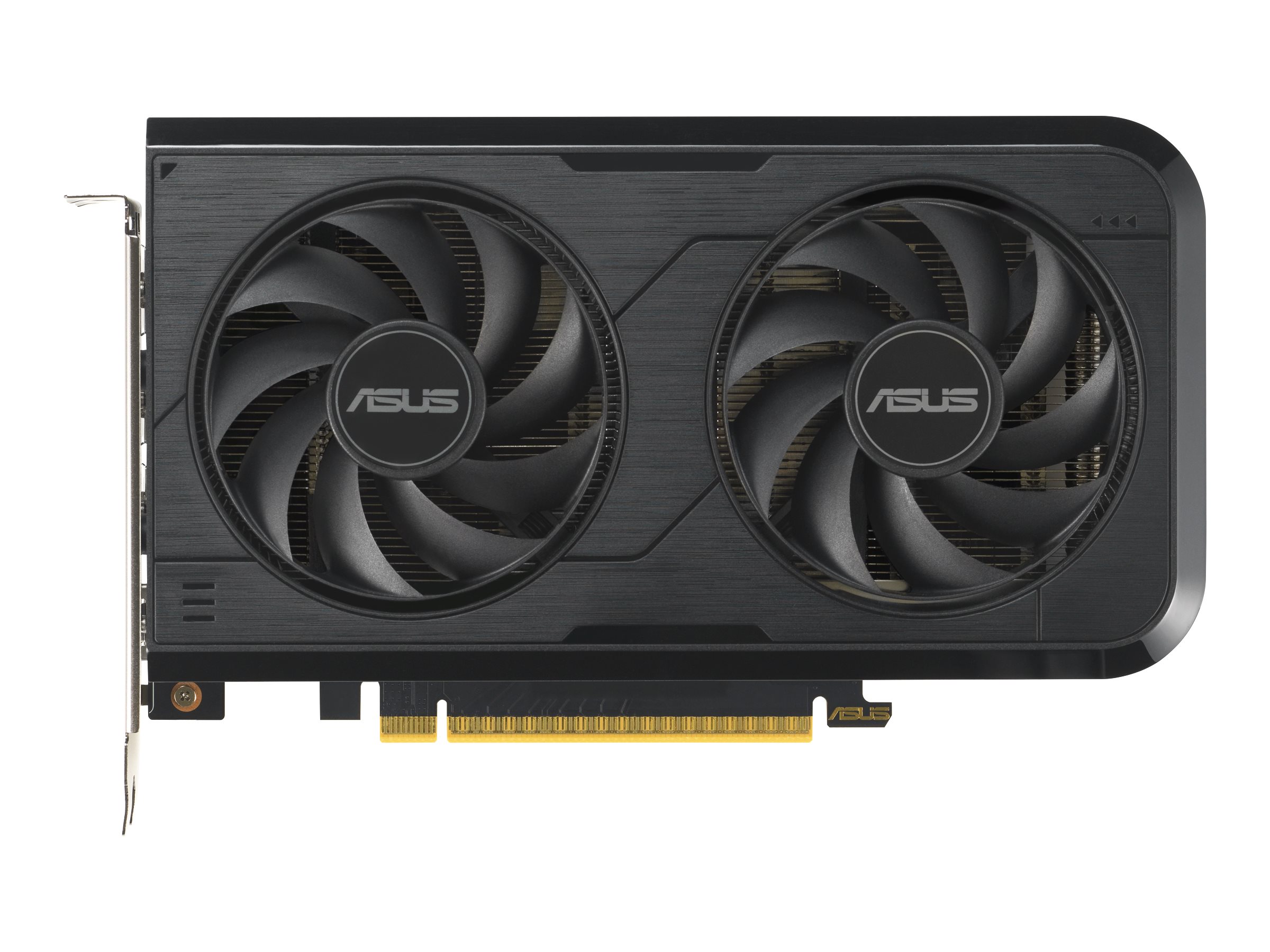 ASUS Dual - OC Edition - grafikkort - GeForce RTX 5050 - 8 GB GDDR6 - PCI Express 5.0 - 3 x DisplayPort, HDMI