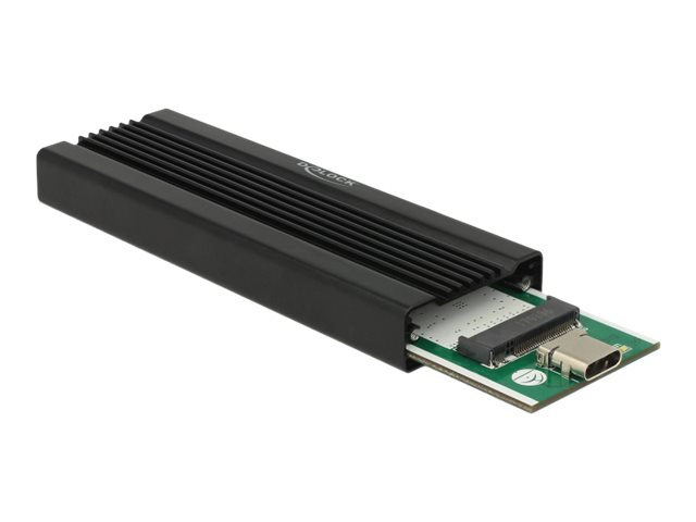 DeLOCK Ekstern Lagringspakning USB 3.1 (Gen 2) M.2 Card