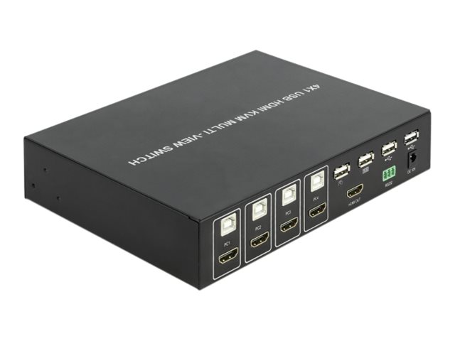 DeLock 4 in 1 Multiview KVM / audio / USB switch Desktop