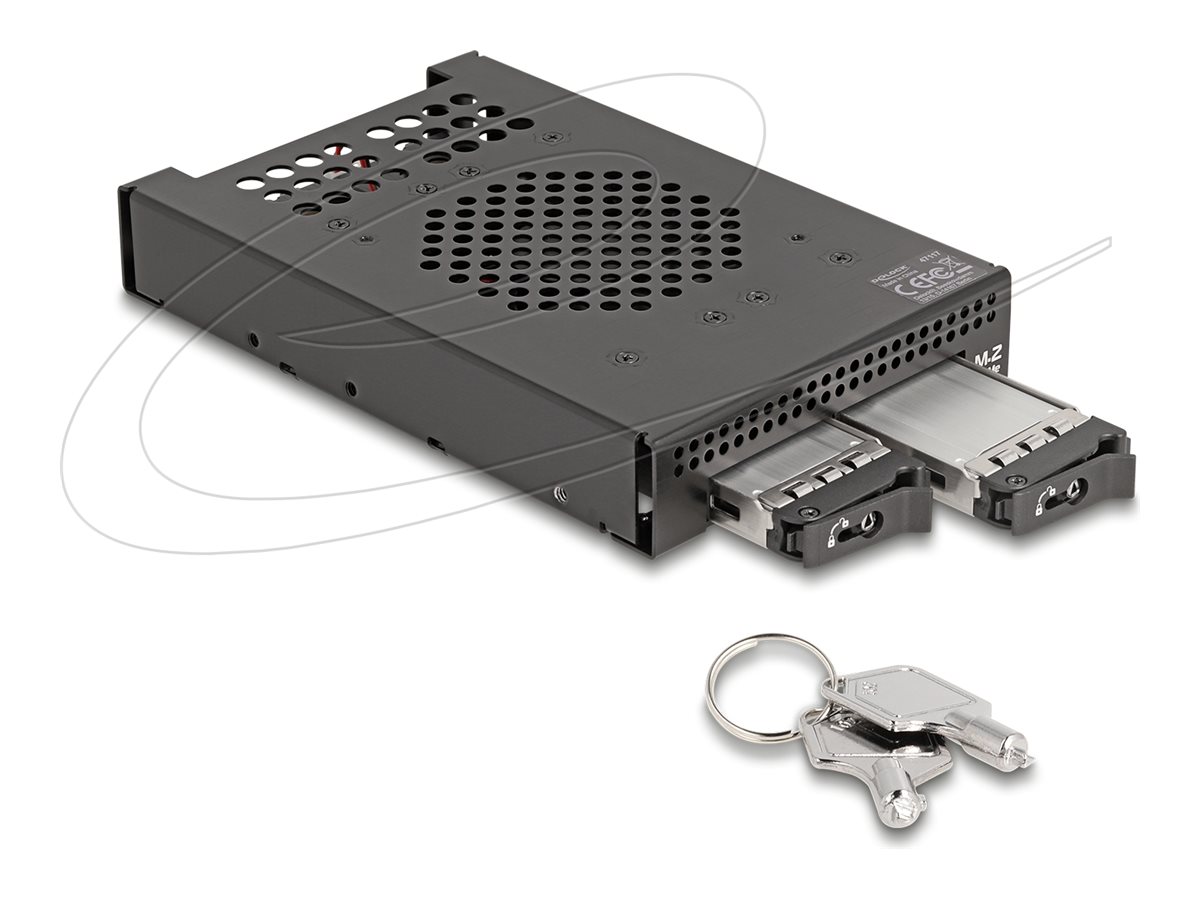DeLOCK Lagrings mobil rack M.2 Sort