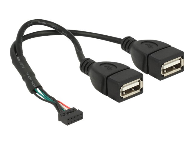 Delock USB intern til ekstern kabel 20cm Sort