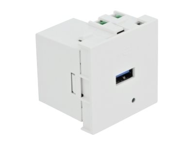 Delock Easy 45 - USB-outlet - 1 gang - hvid, RAL 9003