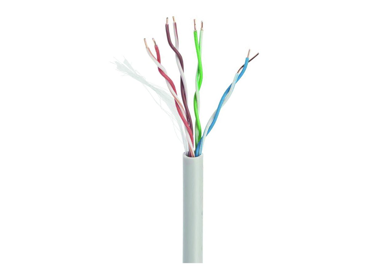 Gembird CAT 5e Ikke afskærmet parsnoet (UTP) 304.8m Bulkkabel Grey