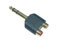 Pro Audio adapter 2xRCA F - Jack M