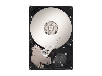 Seagate DB35.3 Series Harddisk ST3250820SCE 250GB 3.5" SATA-300 7200rpm