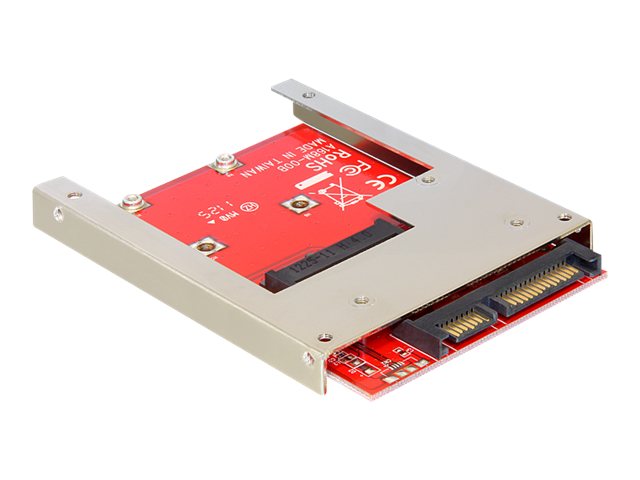 DeLOCK Converter SATA 22 pin > mSATA 2.5" Frame Interfaceadapter