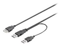 DELTACO USB-strømkabel, Y-kabel, 2xType A han til 1xType A hun, 0,3m