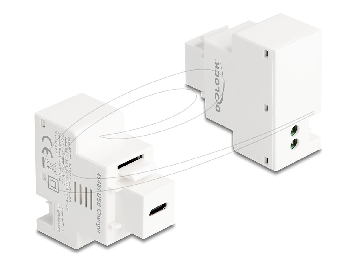 Delock - snap-in modul (keystone) - PD 20 W - 1 USB-C-sokkel - hvid