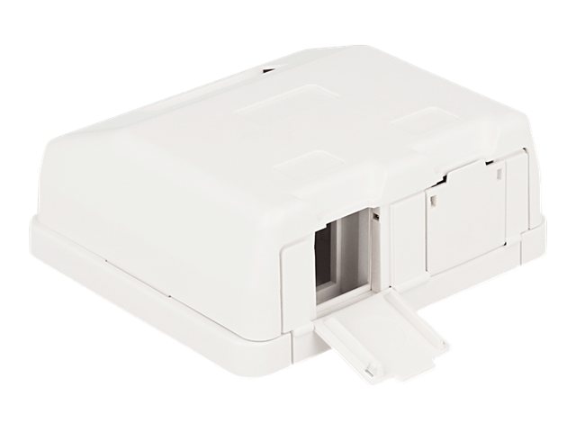 Keystone overflademonteret boks, 2 porte med stvdksel - Delock