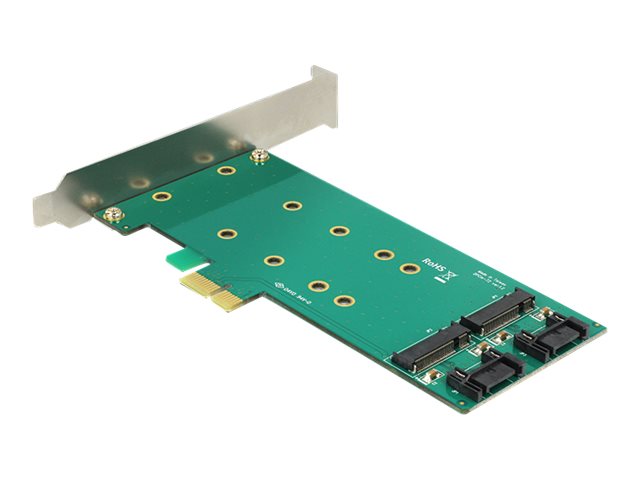 DeLOCK PCI Express Card > 2 x internal M.2 Lagringskontrol
