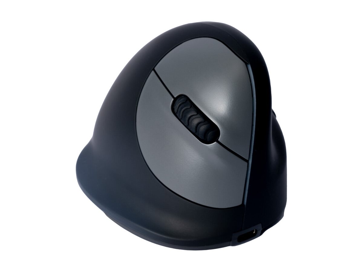 R-Go HE Mouse - Mus - Højrehåndet- 5 knapper - trådløs - 2.4 GHz - trådløs modtager (USB) - sort, sølv