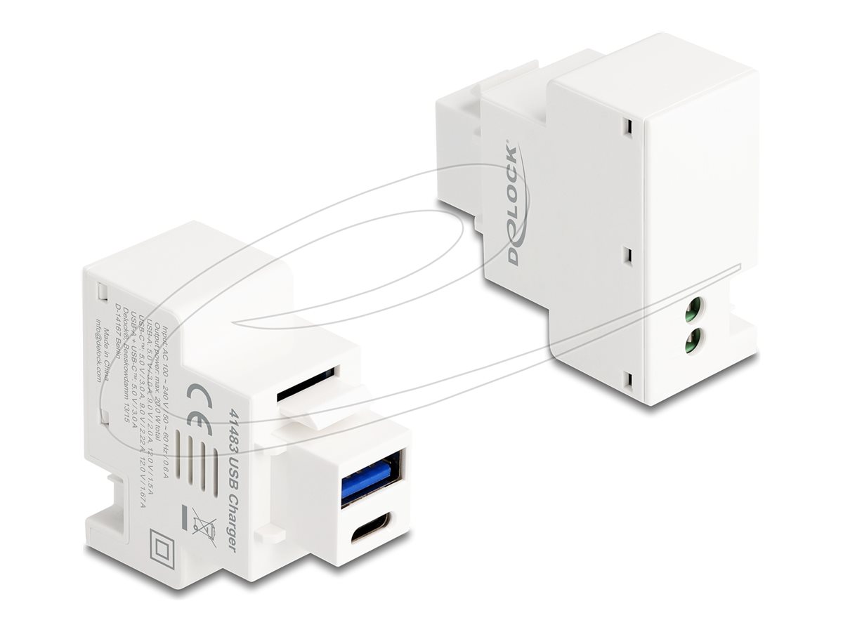 Delock - snap-in modul (keystone) - PD 20 W - 1 USB-sokkel, 1 USB-C-sokkel - hvid