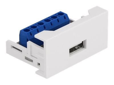 Delock Easy 45 - klik i-modul - hvid, RAL 9003
