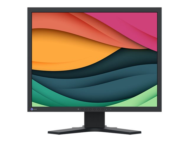EIZO FlexScan S2134 21.3" IPS 1600 x 1200 DVI VGA (HD-15) DisplayPort 60Hz