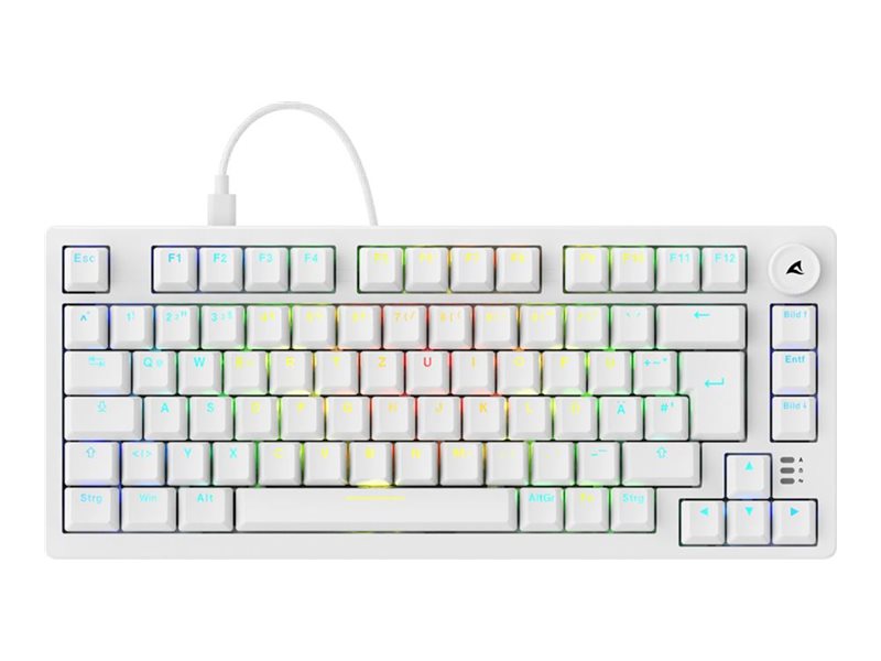 Sharkoon Skiller SGK25 Tastatur Mekanisk RGB Kablet Tysk