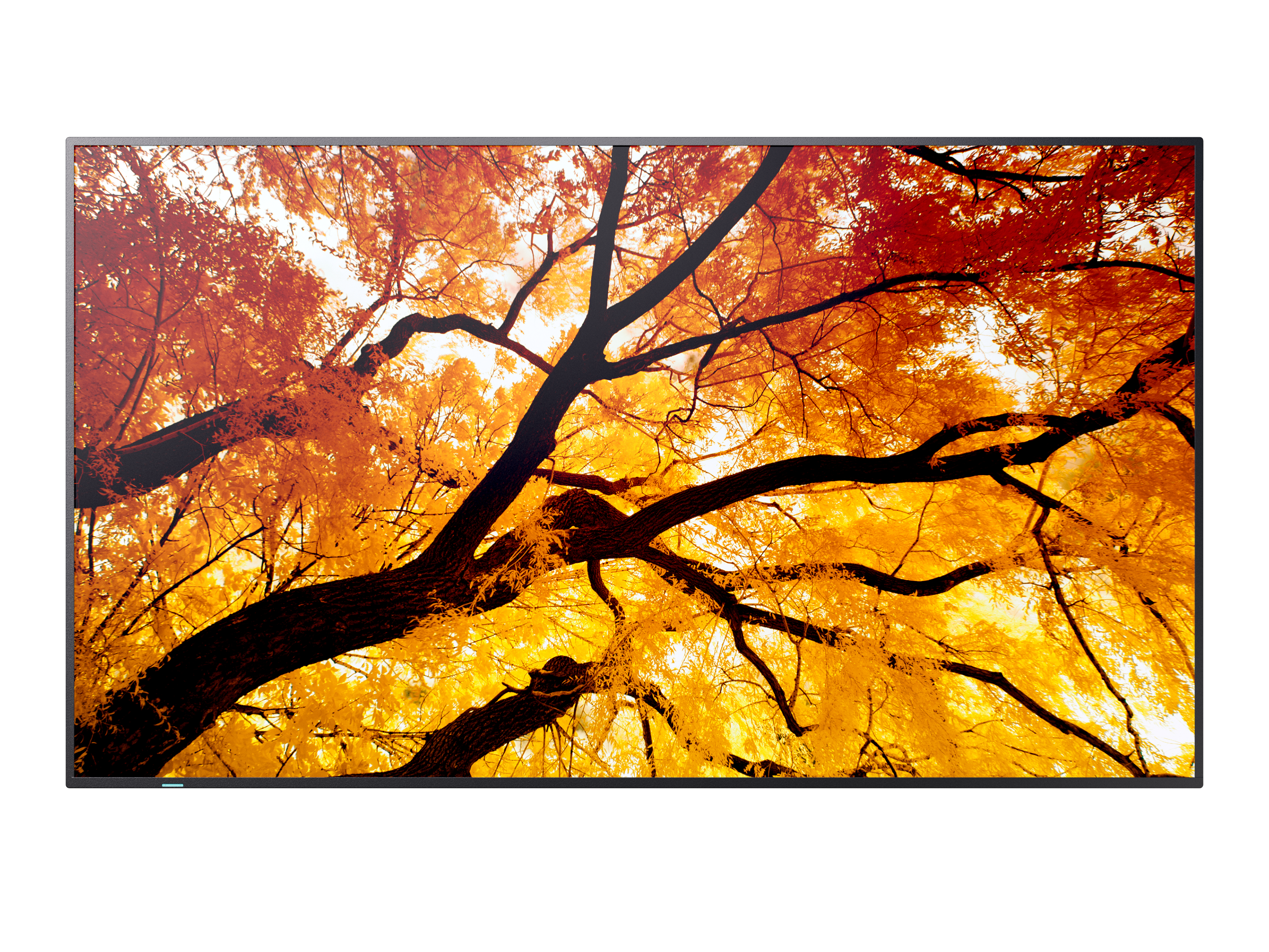 Sharp MultiSync M432 Digital fladpaneldisplay 108 cm (42.5") LCD 550 cd/m² 4K Ultra HD Sort