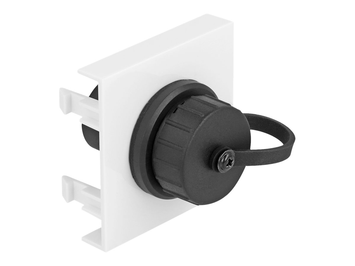 Delock Easy 45 - klik i-modul - SuperSpeed 5 Gbps (3.2 Gen 1) Type-A hun, 45 x 45 mm - sort, hvid, RAL 9003