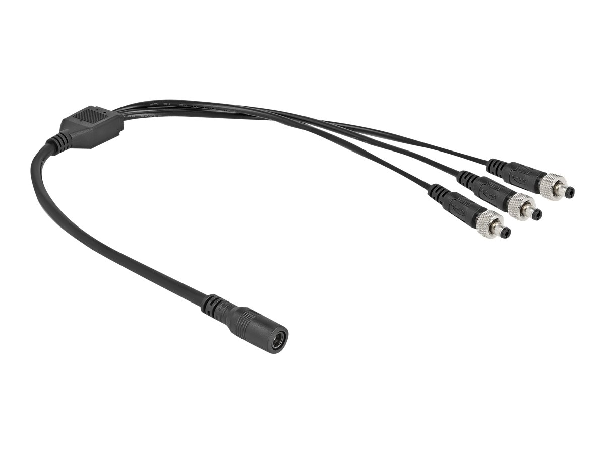 Delock - Strøm-splitter - DC jackstik 5,5 x 2,1 mm (hun) til DC jackstik 5,5 x 2,1 mm (han) - 30 V - 2 A - 50 cm - sort