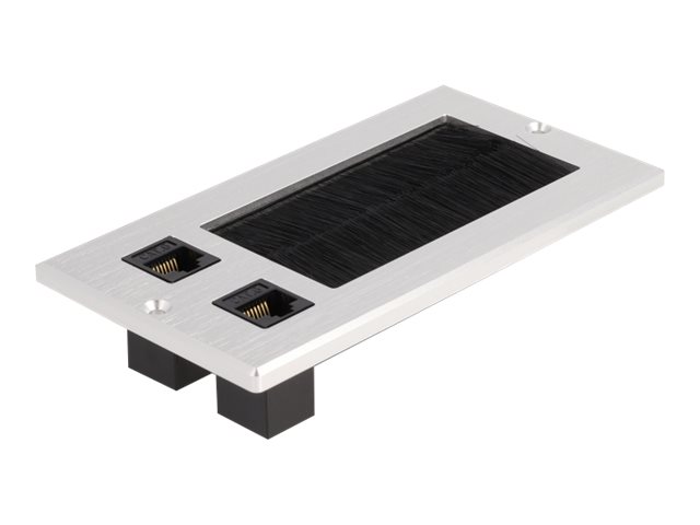 Delock - nøglestenssokkel-udgang - 2 netværkssokler