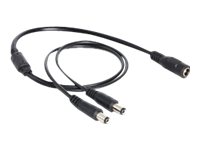 DeLOCK Power Splitter DC Jack 5.5 x 2.1 mm to DC Jack 5.5 x 2.1 mm - 50 cm