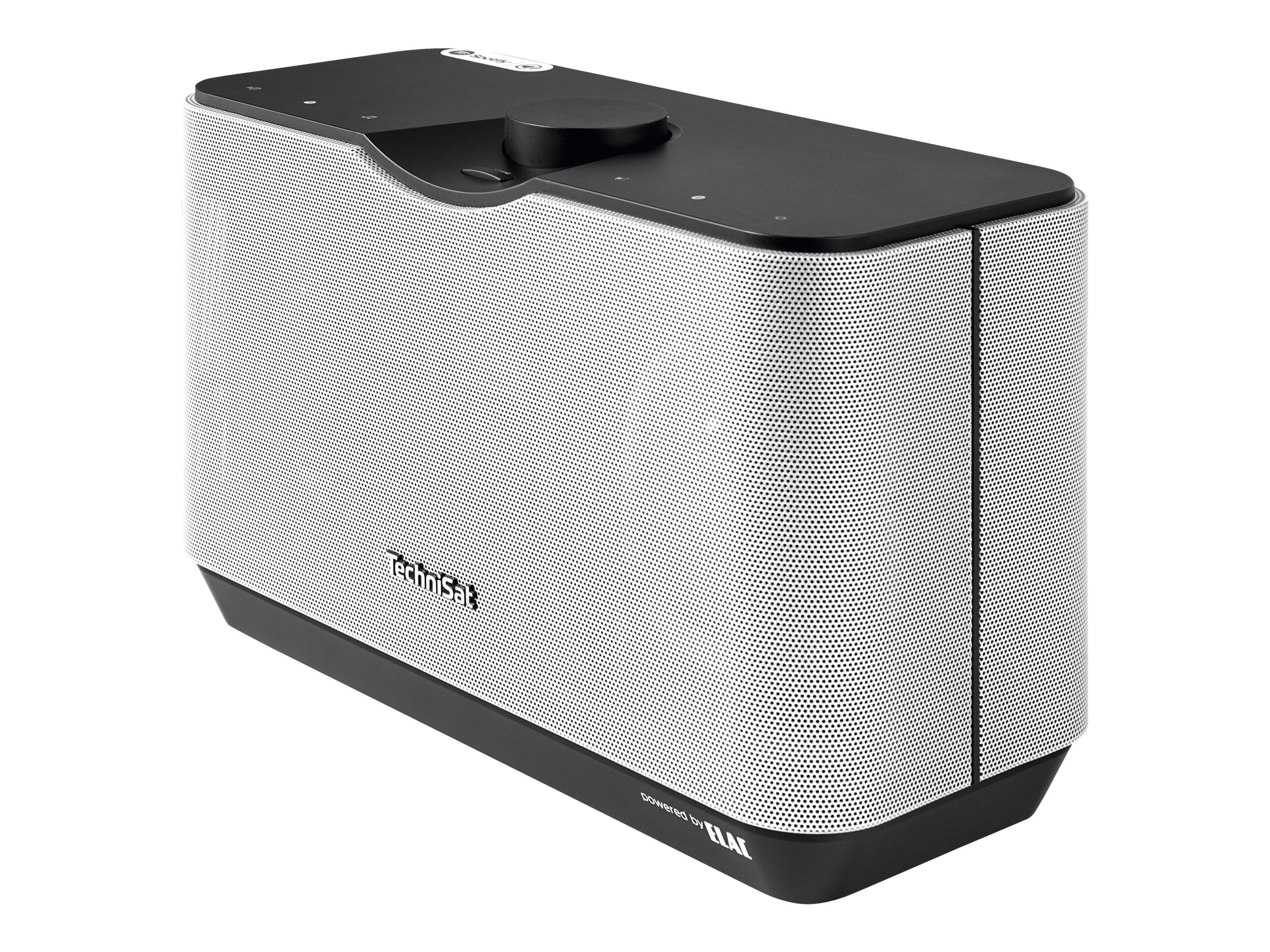 TechniSat AudioMaster MR2 - Højttaler - trådløs - Bluetooth, Wi-Fi - 60 Watt - sort, sølv