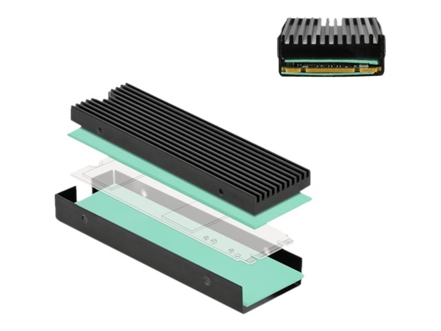 DeLOCK Kølelegeme til solid state-disk